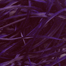 Purple Feather Tree Goose Feathers